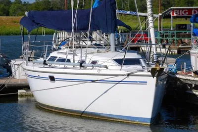 Catalina 320