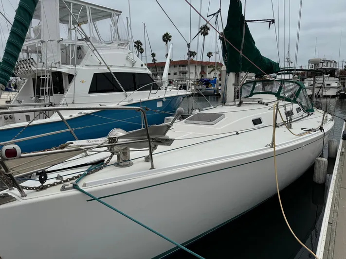 Sneakers Yacht Photos Pics 