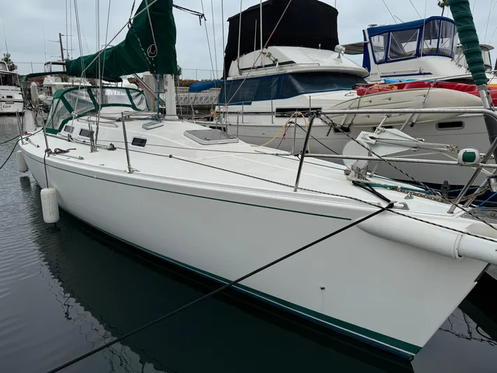 Sneakers Yacht Photos Pics 