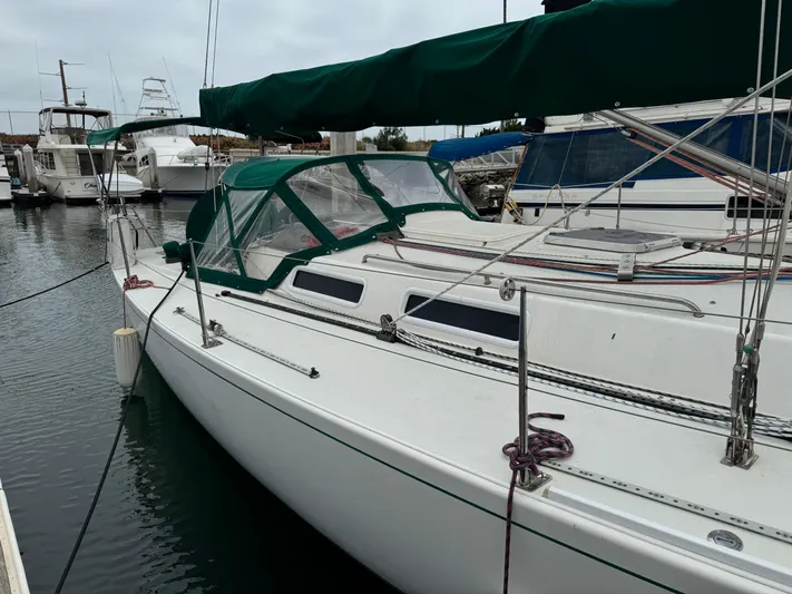 Sneakers Yacht Photos Pics 