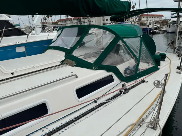 Sneakers Yacht Photos Pics 