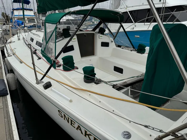 Sneakers Yacht Photos Pics 