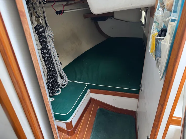 Sneakers Yacht Photos Pics 