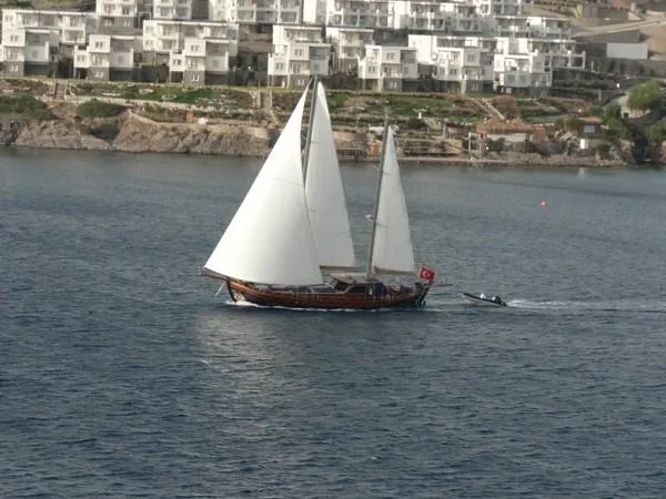 Trİppİn Yacht Photos Pics Wooden Ketch Tirhandil 20M sailing near coastal buildings, 2006 model.