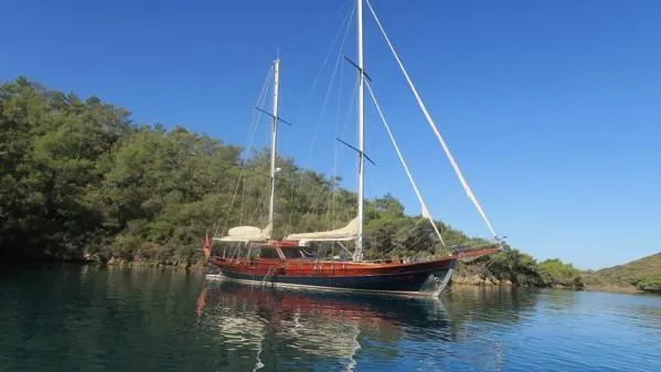 Trİppİn Yacht Photos Pics 