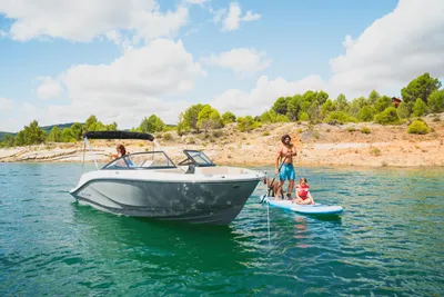 Bayliner V20i