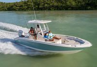 2024 Boston Whaler 250 Dauntless