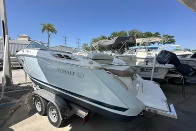 Cobalt 24 SD