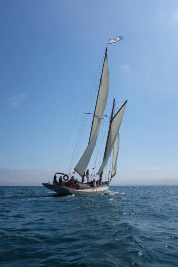 Valora Yacht Photos Pics 