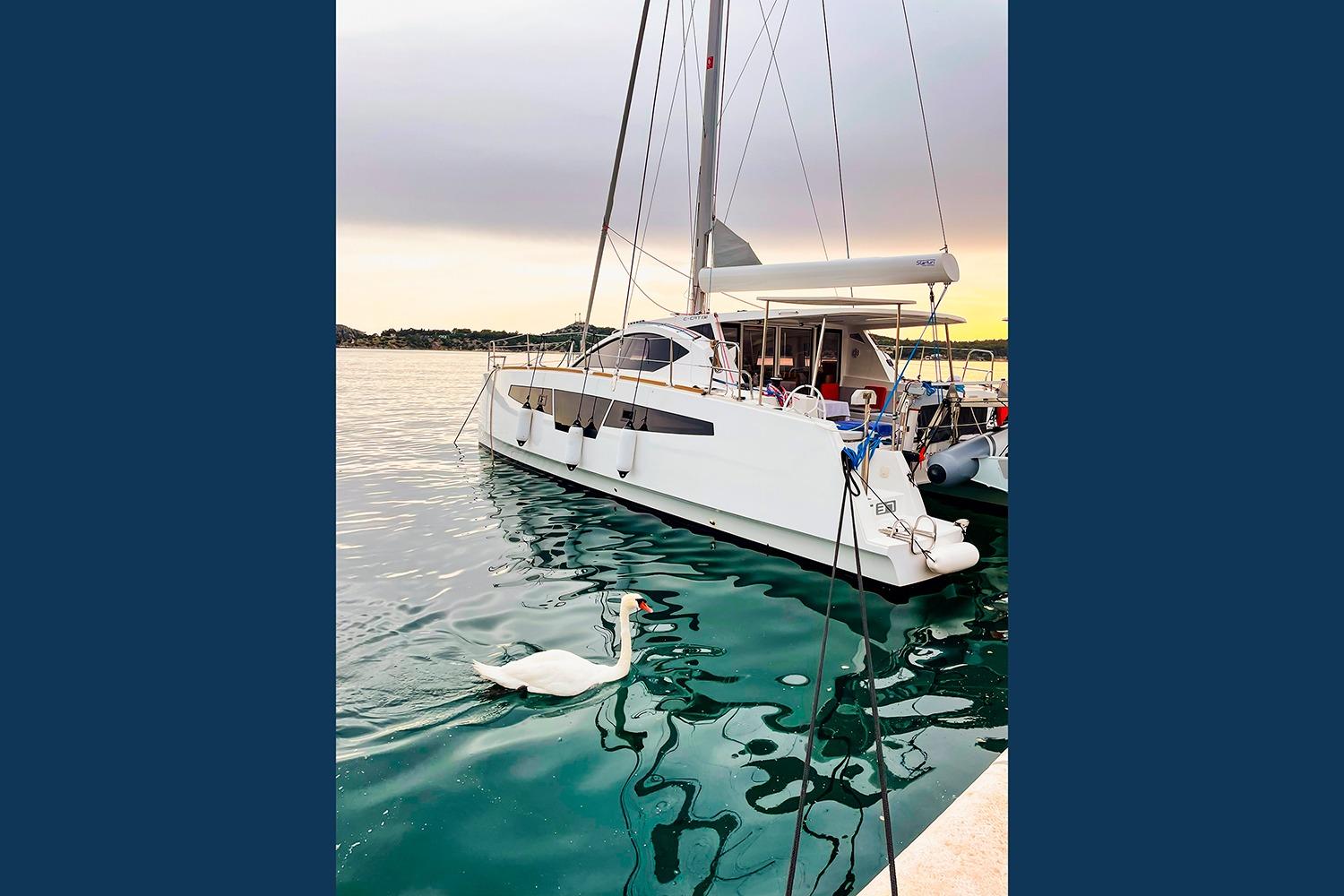 2021 Comar C-CAT 37 catamaran docked with swan swimming nearby at sunset.