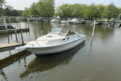 Shamrock 260 Express