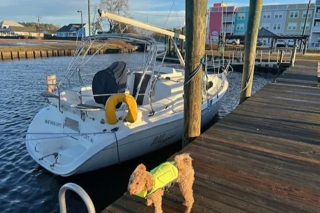 Sailboat docked with a dog in a life jacket, Hunter 306, 2004 model.