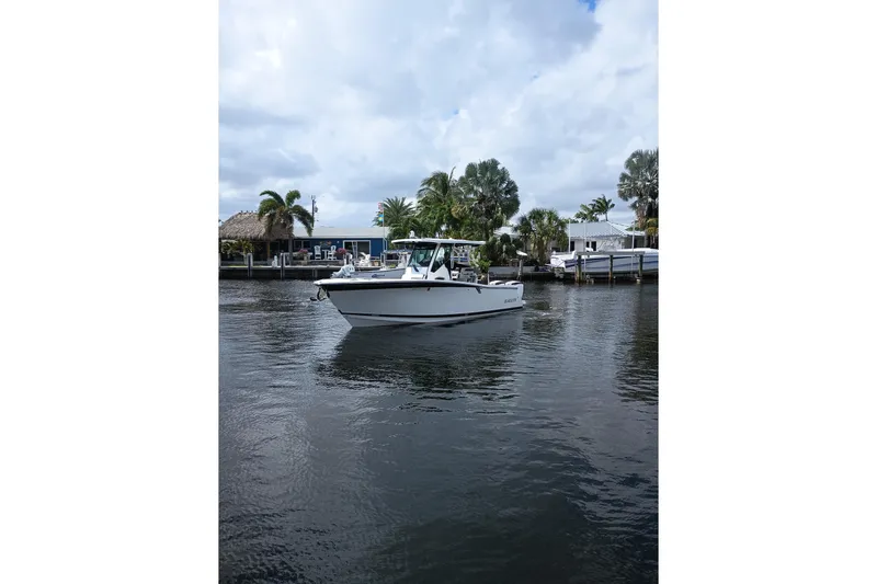  Yacht Photos Pics 2020 Blackfin 272 CC boat on calm water near a dock with palm trees.