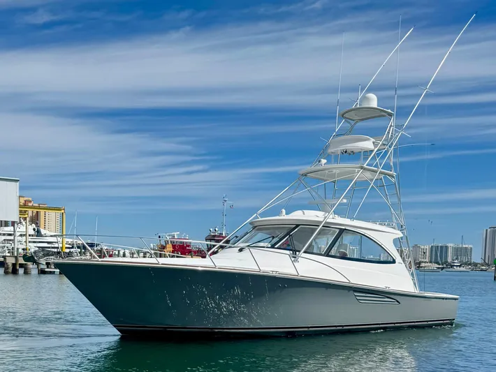 Little Zip Yacht Photos Pics 