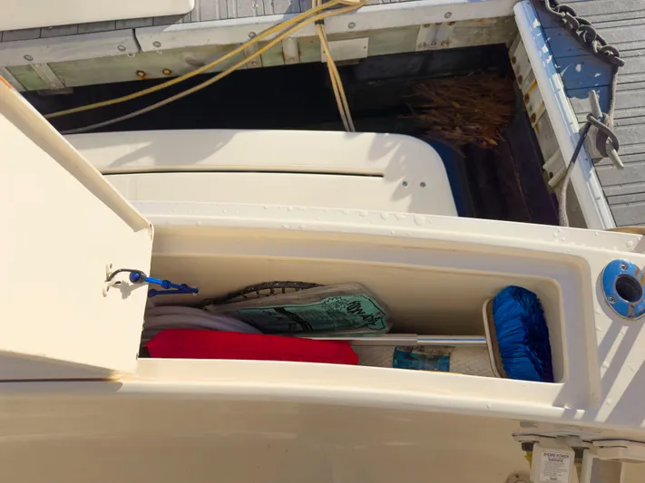 Vitamin Sea Yacht Photos Pics 