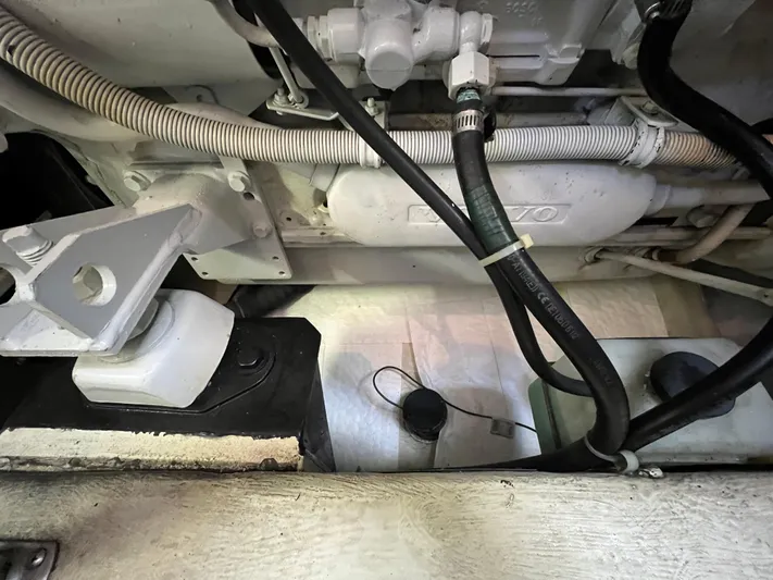 Last Dance Yacht Photos Pics 