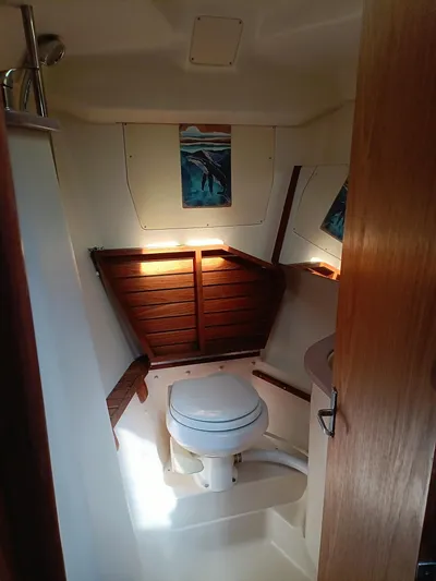 Quantum Joy Yacht Photos Pics 