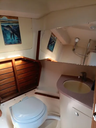 Quantum Joy Yacht Photos Pics 