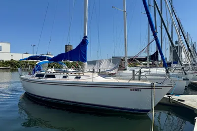 Catalina 36