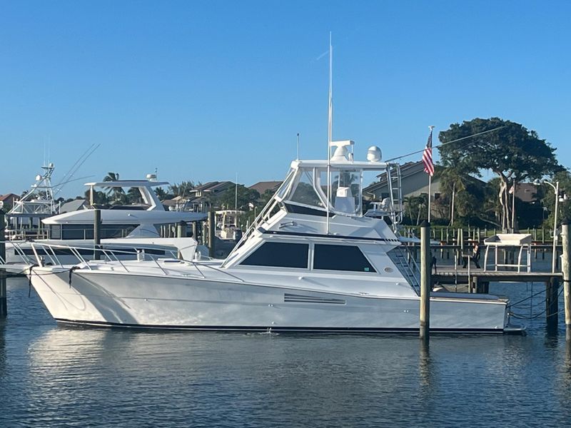 1988 Viking Convertible
