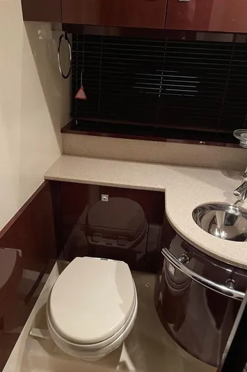 Lightning Strike Yacht Photos Pics 2009 Sea Ray 43 Sundancer bathroom with modern fixtures and sleek design.