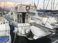 2003 Dellapasqua DC 10