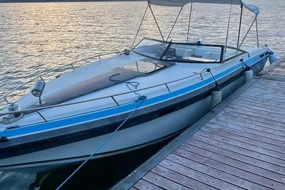 1989 Baja 275