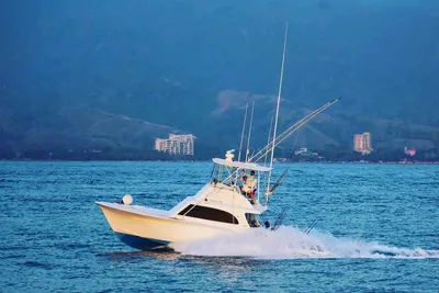 Sunny Briggs Custom Carolina