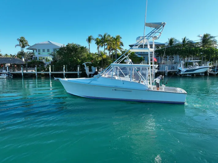 R & R Yacht Photos Pics Stolper 3800 Tournament Express 2000 boat cruising in tropical marina with palm trees.