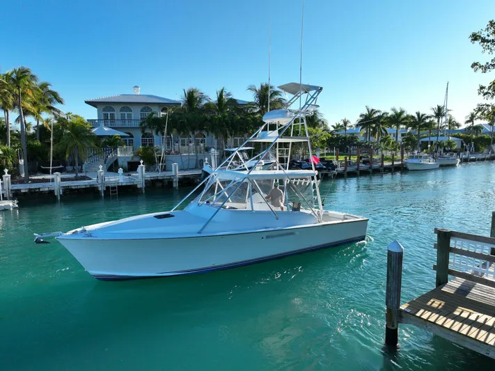 R & R Yacht Photos Pics Stolper 3800 Tournament Express 2000 yacht docked in a tropical marina setting.