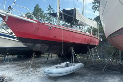 Meta Delu 40
