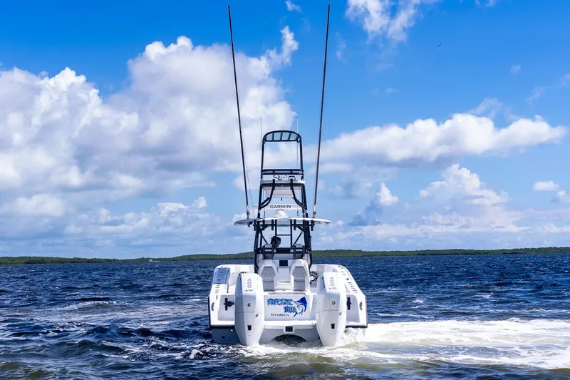 Electric Bill Yacht Photos Pics Freeman 34 Electric Bill - Aft Profile