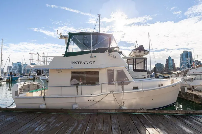 Instead Of Yacht Photos Pics 