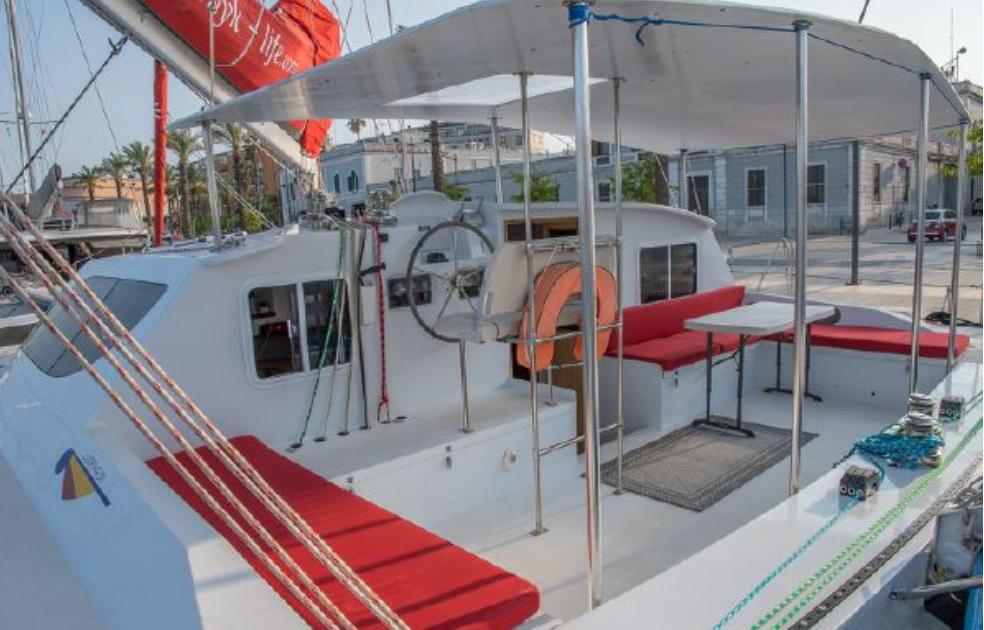 looping 50 catamaran for sale