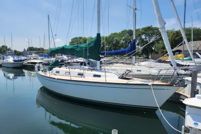 Tartan 31
