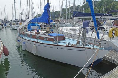 1962 Holman 31