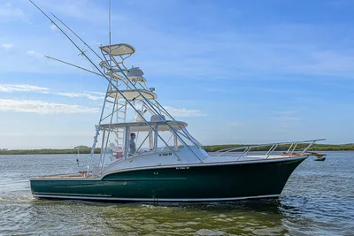 Jersey Cape Devil 36