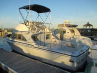 1982 Bertram 28 Sport Fisherman