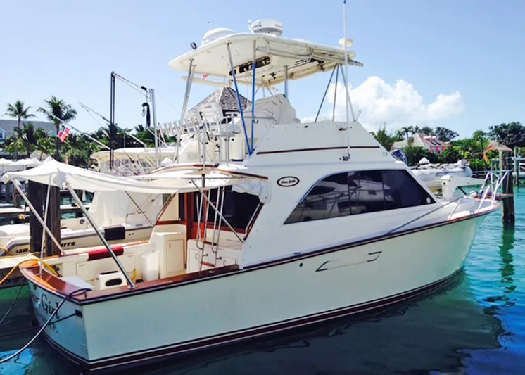  Yacht Photos Pics 