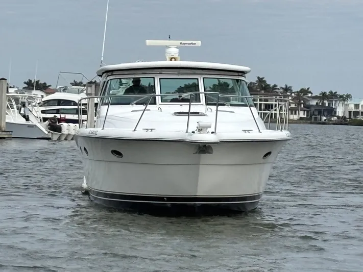 Celebration Yacht Photos Pics 