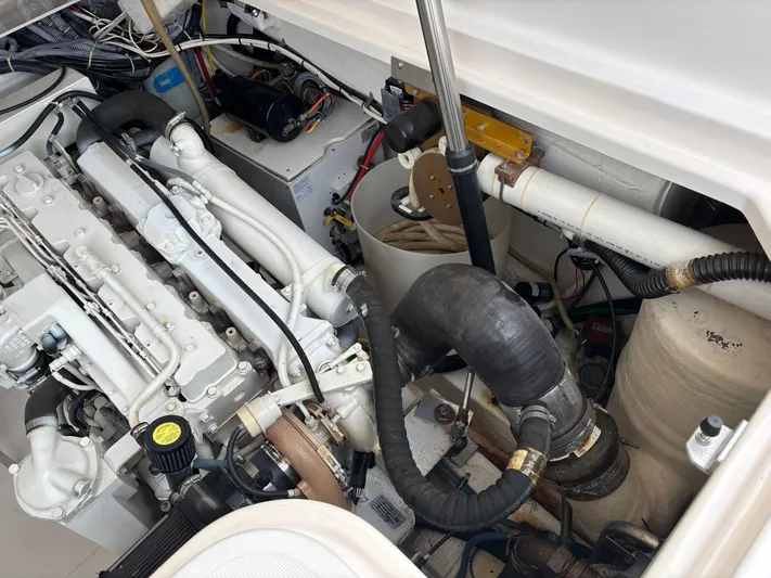 Celebration Yacht Photos Pics 