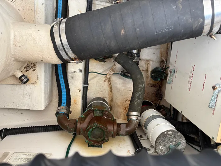 Celebration Yacht Photos Pics 