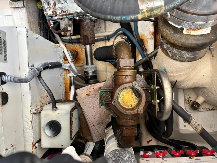 Celebration Yacht Photos Pics 