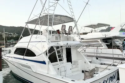 Bertram 51