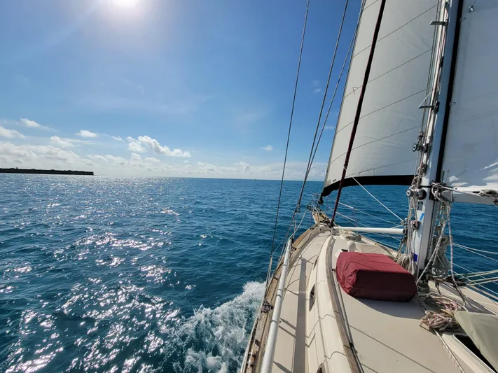 Data Packet Yacht Photos Pics 