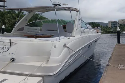 Sea Ray 460 Sundancer
