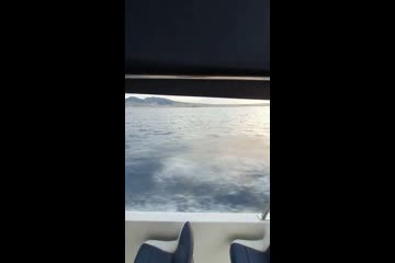 Video Placeholder