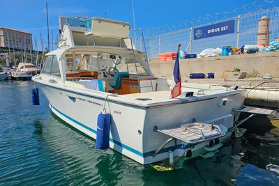 1970 Riva Bertram Sport fisherman 25