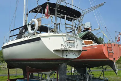 Tanzer 31