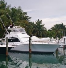 Viking Boats 50